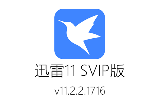 迅雷11,迅雷去广告版,迅雷不限速版,迅雷SVIP版,迅雷绿色精简版