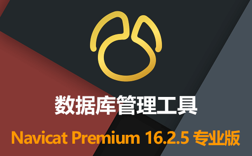 Navicat,MySQL,MySQL管理工具,Navicat Premium 16.2.5 专业版,Navicat Premium 16.2.5 专业版激活版