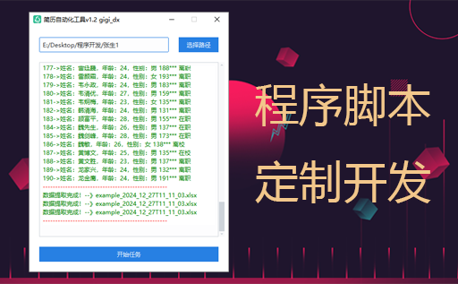 软件开发,脚本定制,自动化工具
