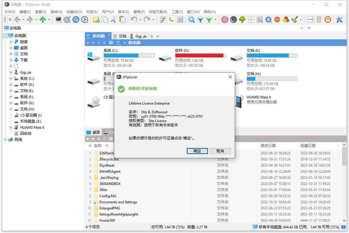 XYplorer v24.6免费版下载