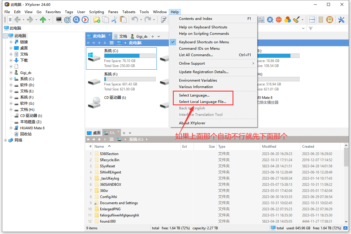XYplorer v24.6最新版中文设置教程