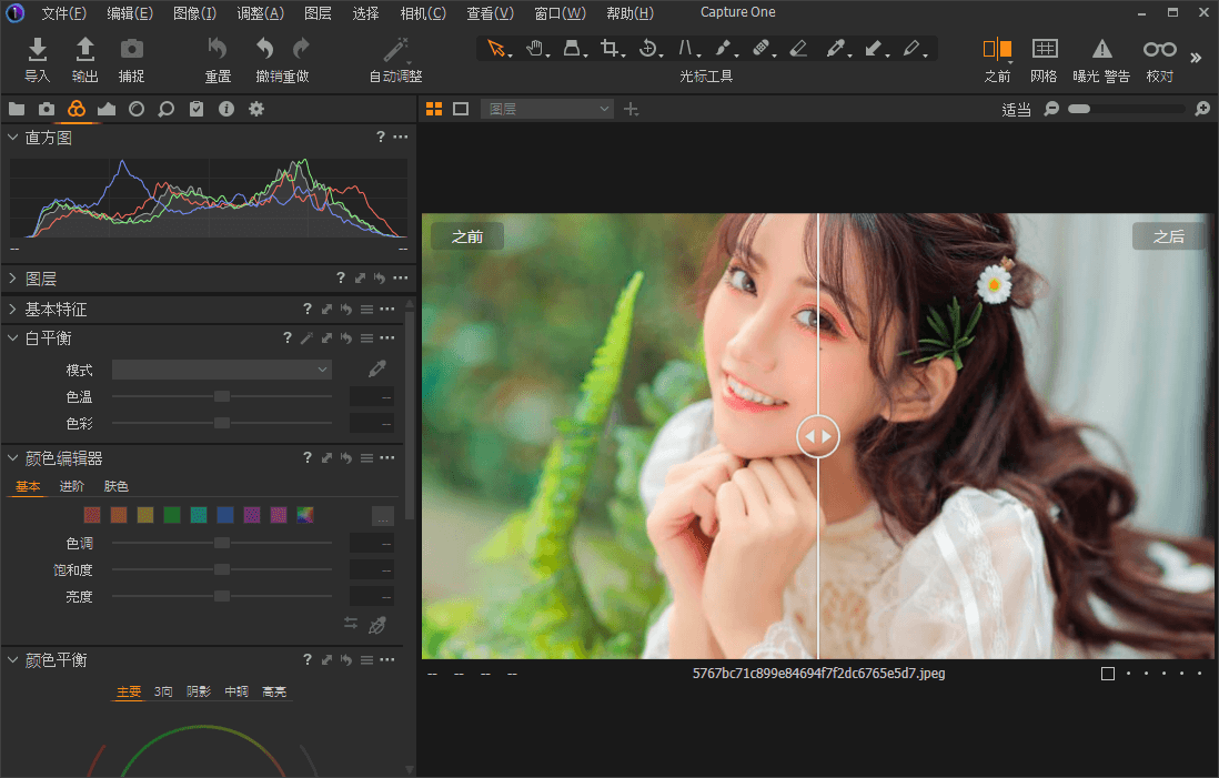 Capture One 20 Pro