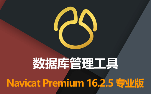 数据库管理工具：Navicat Premium 16.2.5 专业免费版 免安装和激活 轻松管理各类数据库