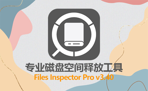 磁盘空间不足怎么清理？磁盘空间释放工具 Files Inspector Pro v3.40 便携免激活版下载
